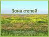 Зона степей