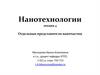 Нанотехнологии. Отдельные представители наночастиц