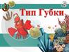 Царство животные. Тип губки