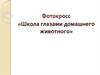 Школа глазами домашнего животного. Фотокросс