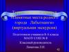 Туристический маршрут «Памятные места родного города Лабытнанги» (виртуальная экскурсия)