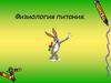 Физиология питания 6 кл
