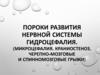 Пороки развития нервной системы. Гидроцефалия, микроцефалия, краниостеноз, черепно-мозговые и спинномозговые грыжи