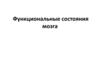 Функциональные состояния мозга. Виды торможения в ВНД