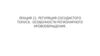 Регуляция сосудистого тонуса. Особенности регионарного кровообращения