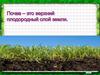 Почва. Плодородие – главное свойство почвы