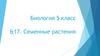 Семенные растения