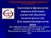 Анатомия и физиология нормальной кожи, слизистой оболочки полости рта и губ