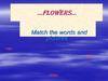 Flowers.  Match the words