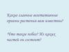 Видоизменения подземных побегов