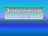 Ботаника. Зоология. Экология. Человек