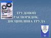 Трудовой распорядок и дисциплина труда
