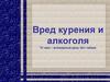 Вред курения и алкоголя/ 31 мая – всемирный день без табака