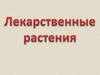 Лекарственные растения