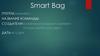 Smart Bag