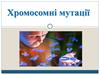 Хромосомні мутації