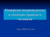 Северное возрождение: в поисках правды о человеке