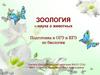 Зоология – наука о животных. Подготовка к ОГЭ и ЕГЭ