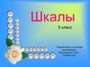 Шкалы. 5 класс