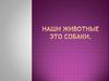 Наши животные - это собаки