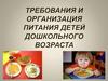 Требования и организация питания детей дошкольного возраста