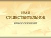 Имя существительное. Второе склонение