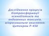 Дослідження процесів біотрансформаціі ксенобіотиків та єндогенних токсинів