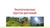 Экологические группы растений