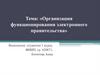 Организация функционирования электронного правительства