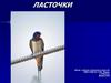 Ласточки