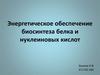 Энергетическое обеспечение биосинтеза белка и нуклеиновых кислот