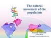 The natural movement of the population