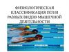 Физиологическая классификация поз и разных видов мышечной деятельности