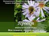 Проект экологической игры "Моя планета - человеческий дом"