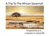 A Trip To The African Savannah