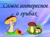 Интересное о грибах