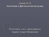 Анатомия и физиология желудка. Лекция № 29