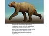 Гигантский короткомордый медведь
