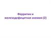 Ферритин и железодефицитная анемия