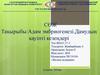 Адам эмбриогенезі. Дамудың қауіпті кезеңдері