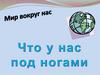 Мир вокруг нас. Что у нас под ногами