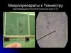 Микропрепараты к 1 семестру