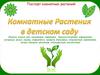 Комнатные растения в детском саду