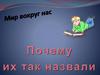 Имена. Мир вокруг нас
