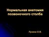 Нормальная анатомия  позвоночного столба