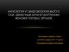 Ангиология и синдесмология малого таза. Связочный аппарат внутренних женских половых органов