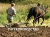 Земледелие. Растениеводство