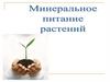 Минеральное питание растений