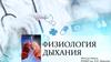 Физиология дыхания