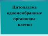 Цитоплазма. Одномембранные органоиды клетки
